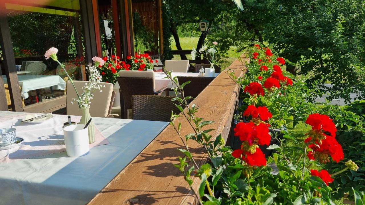 Kraners Alpenhof Bio Bed And Breakfast Pension ヴァイセンゼー エクステリア 写真