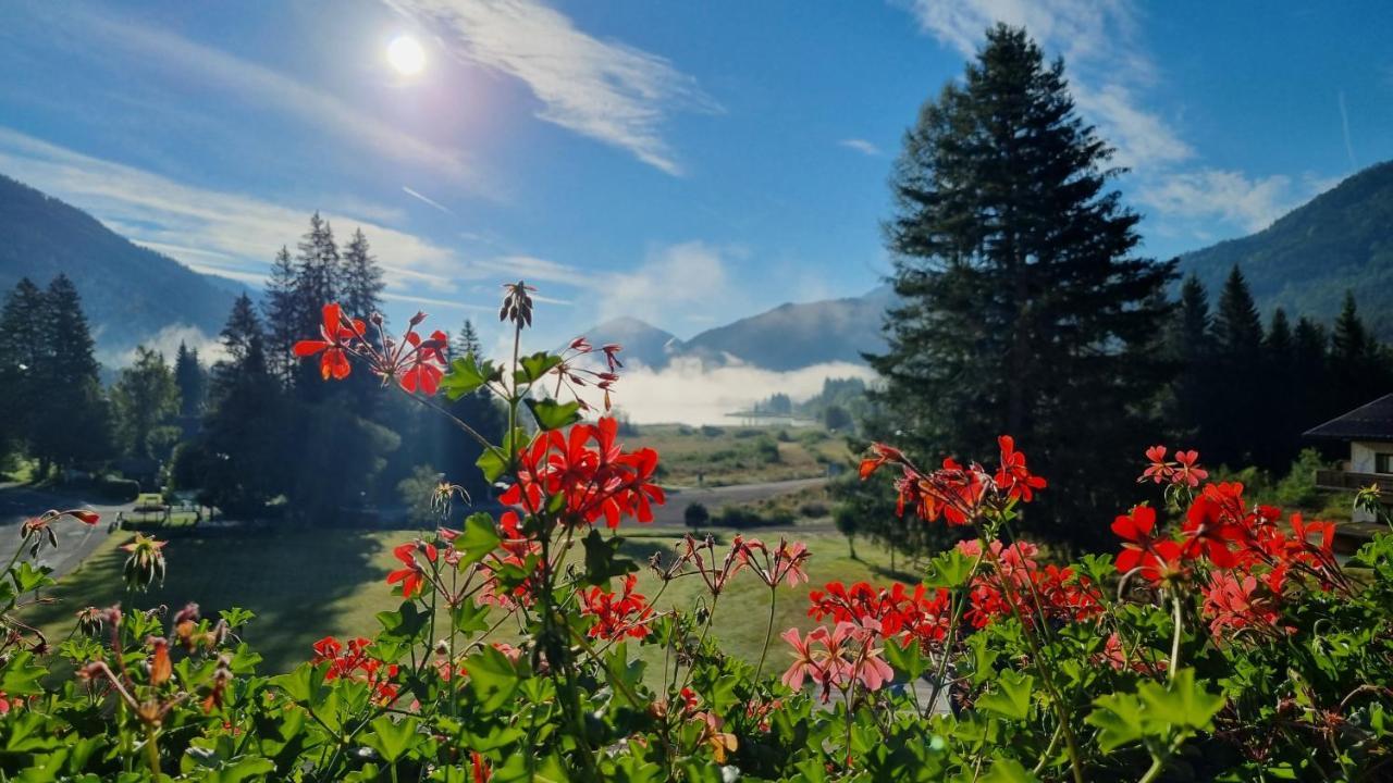 Kraners Alpenhof Bio Bed And Breakfast Pension ヴァイセンゼー エクステリア 写真