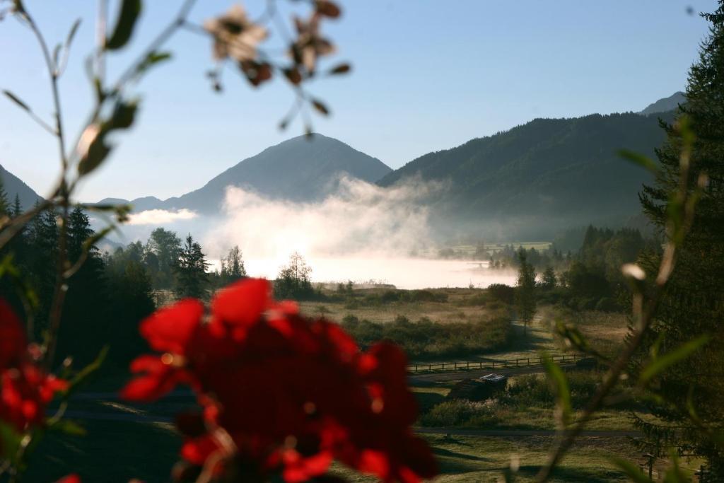 Kraners Alpenhof Bio Bed And Breakfast Pension ヴァイセンゼー エクステリア 写真